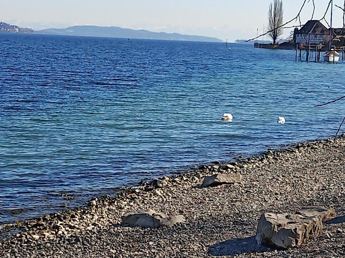 Fewo Mit Tollem Ausblick Auf Der Schwaebischen Alb. Wehingen Eksteriør bilde